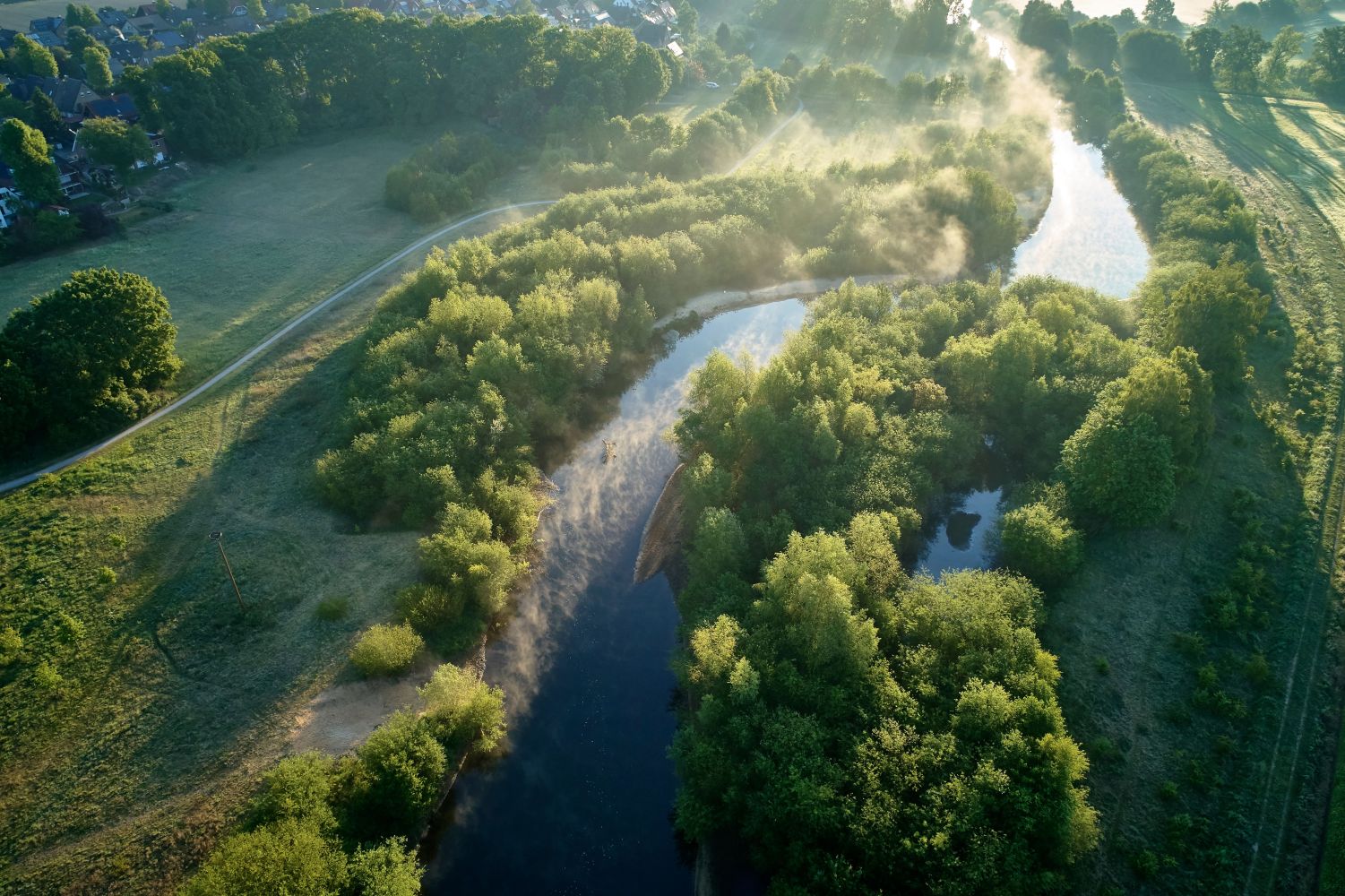 Planungsbüro Landschaftsplanung Altenberge bei Münster: Luftaufnahme der Ems mit bewachsenen Ufern und Flussinseln